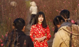 Thiếu nữ duyên dáng bên vườn đào dịp Tết nguyên đán ở Việt Nam nổi bật trong số những hình ảnh ấn tượng nhất thế giới năm 2016.