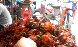 Hà Nội: Rùng mình chim quay tẩm hóa chất