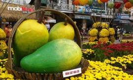 Trái cây đồng bằng ngọt Đường hoa Xuân