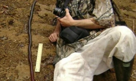 Độ dài giun khổng lồ có thể lên tới 2m