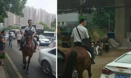 Bỏ xế hộp, cưỡi ngựa đi làm