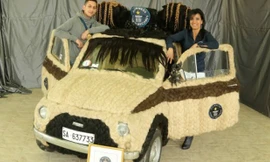 Dành 150 tiếng để bọc toàn bộ xe hơi bằng... tóc thật