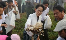 Nữ chính trị gia 70 tuổi của Myanmar xuống đường nhặt rác