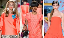 Xu hướng sắc màu xuân hè 2014