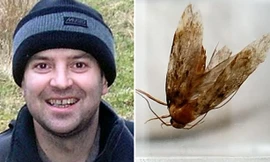 Bướm sống trong tai người đàn ông suốt 3 ngày