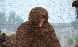 Lập kỷ lục Guiness với 100 kg ong phủ kín người