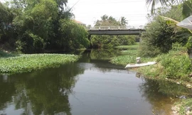 Buồn buồn, nhảy cầu tự tử