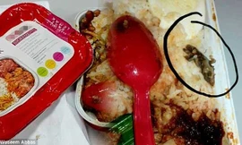 Hành khách cáo buộc có thằn lằn chết trong suất ăn. Ảnh: Dailymail