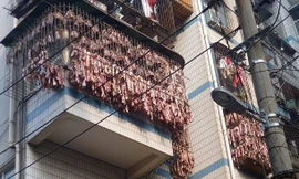 Trung Quốc: Hoảng hồn thịt xông khói treo đầy ban công