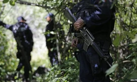 Khu vực những hố chôn tập thể mới được phát hiện