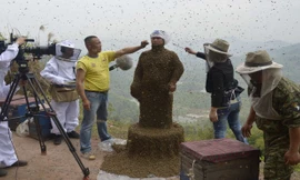 Gần nửa triệu con ong phủ kín người đàn ông