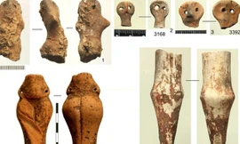 Những hiện vật được phát hiện trong ngôi đền