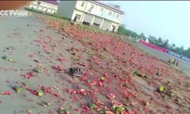 Xe tải mất lái, 30 tấn dưa hấu đổ đầy đường