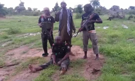 Hình ảnh trong đoạn video. Ảnh: Dailymail