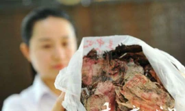 Đống tiền mủn nát sau 4 năm chôn dưới sàn bếp