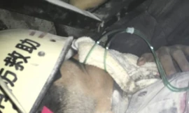 Tian Zeming may mắn sống sót. Ảnh: BBC