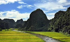 Ngày mùa trên đất cố đô Hoa Lư