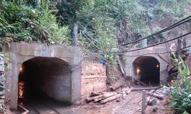 Tổng giám đốc sắp... chạy làng?