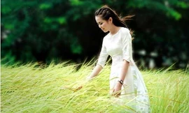 Chủ nhật của bạn (24/7)