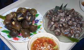 Bà bầu có nên ăn ốc?