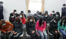 18 người Việt Nam bị trôi dạt khi sang Đài Loan lao động bất hợp pháp được giải cứu