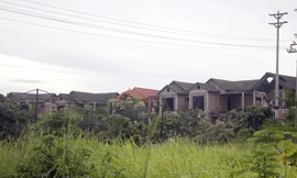 Bi hài khách VIP đòi trả suất mua nhà ngoại giao