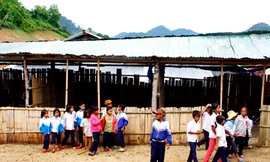 Vùng cao thiếu phòng học