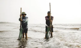 Nhọc nhằn nghề vợt don, cào dắt mưu sinh