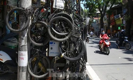 Vẫn còn những "ổ mạng nhện" giữa trời Thủ đô