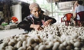 Làng tơ trăm tuổi trên đất Thành Nam