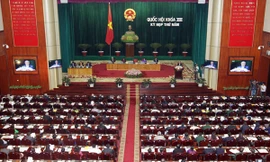 Năm 2013: Chưa đưa Luật Biểu tình vào chương trình nghị sự