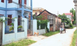 Thầy ơi, bằng tốt nghiệp bao nhiêu tiền?