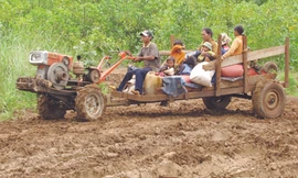 Nhiều con đường bị cày nát khi các DN vào vùng dự án trồng cao su