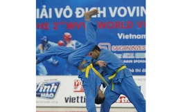 Trở về cội nguồn