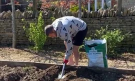 Jamie Vardy trồng rau, nuôi gà tại nhà.