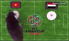 Mèo tiên tri Cass dự đoán Việt Nam thắng Yemen