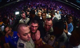  Khabib Nurmagomedov có thể bị tước đai vô địch vì làm loạn ở UFC 229