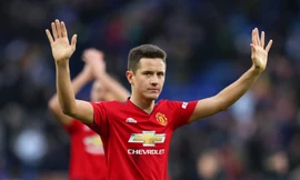 Ander Herrera từ chối ở lại M.U