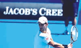 Djokovic quyết kéo dài mạch thắng ở Melbourne Park