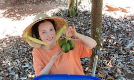 Nguyên nhân khiến Lý Nhã Kỳ bỏ danh kiều nữ làm nông dân 