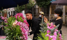 Giá hoa tăng vọt trước ngày 8/3, chủ hàng thuê thêm người chốt đơn online