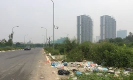 Hố trồng cây trên đường 'trăm tỷ' ở Hà Nội biến thành bãi rác