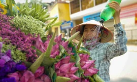 Ngẩn ngơ hương sắc sen đầu mùa xuống phố Hà Nội