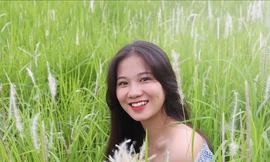 Những triền đê phủ trắng cỏ tranh ở Hà Nội 