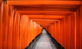 Trắc nghiệm tâm lý: Những bí mật của con đường bạn lựa chọn hé lộ điều gì?