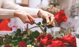Giữ hoa hồng tươi lâu hơn nhờ 4 mẹo nhỏ này, cực đơn giản ai cũng có thể làm được!