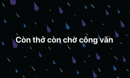 Giữa diễn biến phức tạp của dịch, bạn thuộc team "lật tập" hay chờ công văn "lật kèo"?