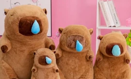 5 cách để bạn trở thành "chiến thần ngoại giao" được yêu mến như Capybara