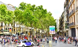 Hà Nội nở rộ phố đi bộ: Bài học từ những phố đi bộ nổi tiếng thế giới