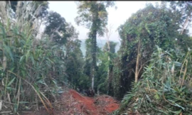 Tin mới vụ xe tải lao xuống vực làm 6 người chết ở Gia Lai